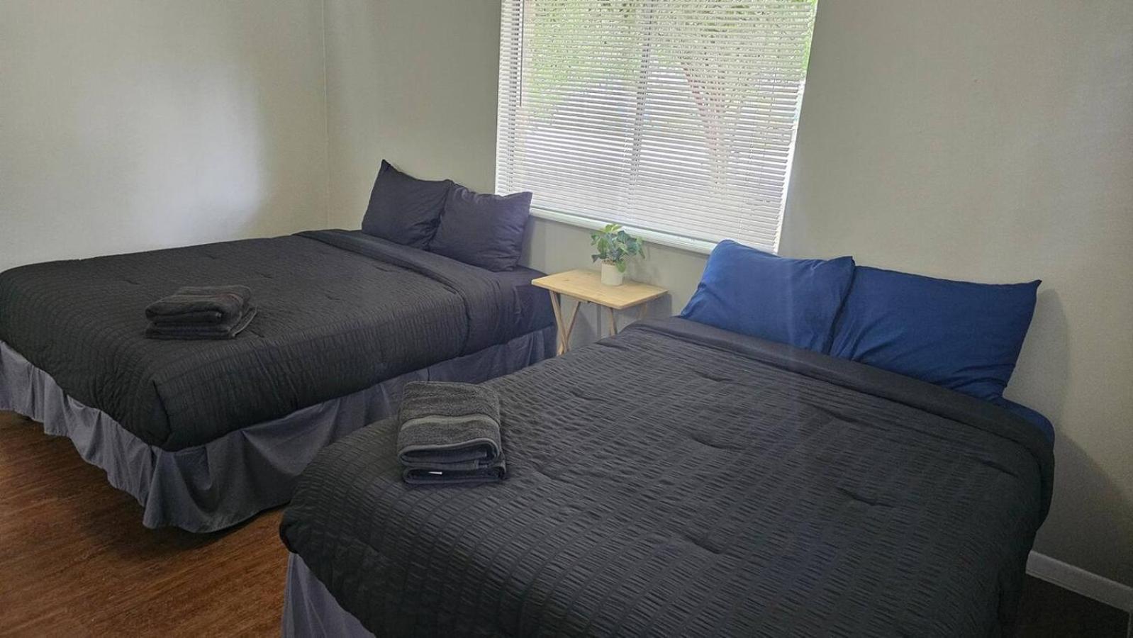 Homey 2Br Home Near Downtown & Airport Austin Eksteriør bilde